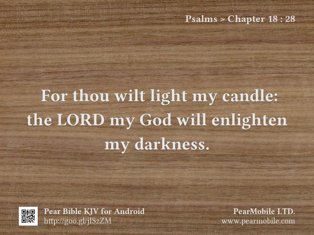 Psalms, Chapter 18:28